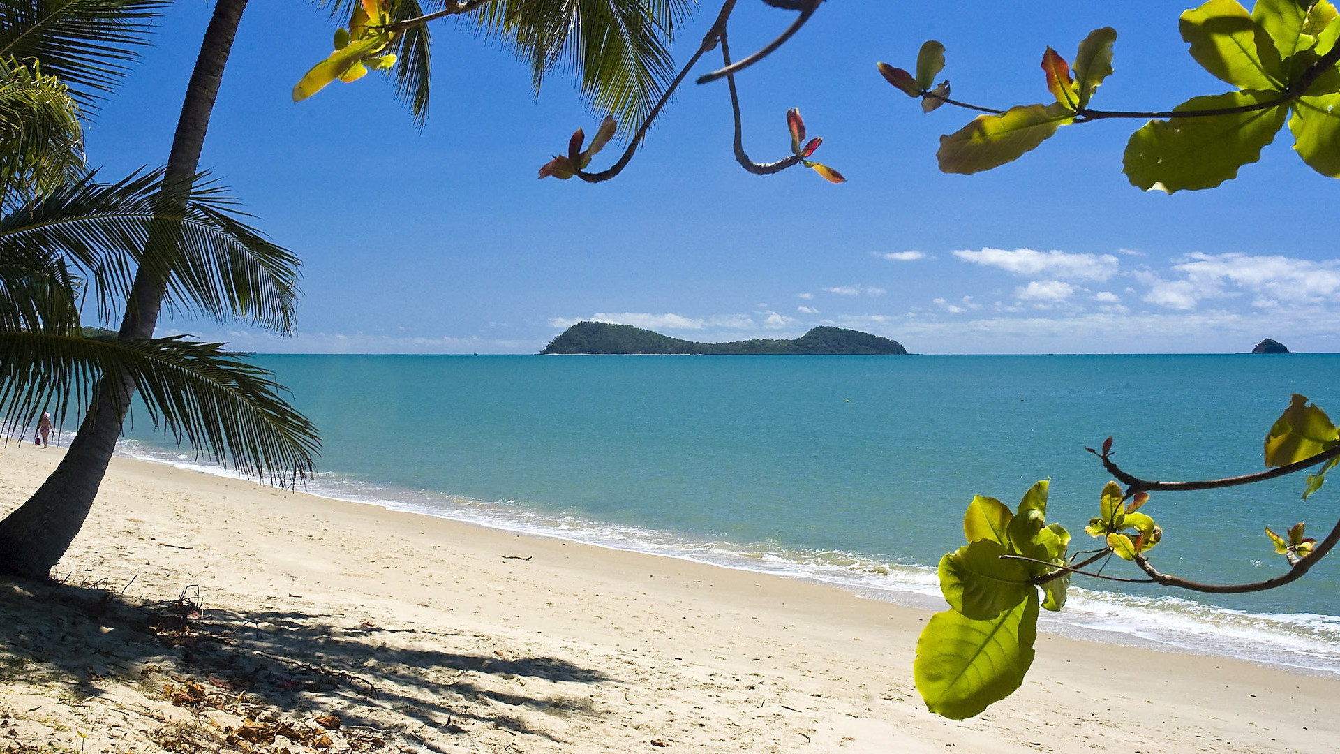 View of Double Island, seen through beach almond tree leaves from the shore along Palm Cove