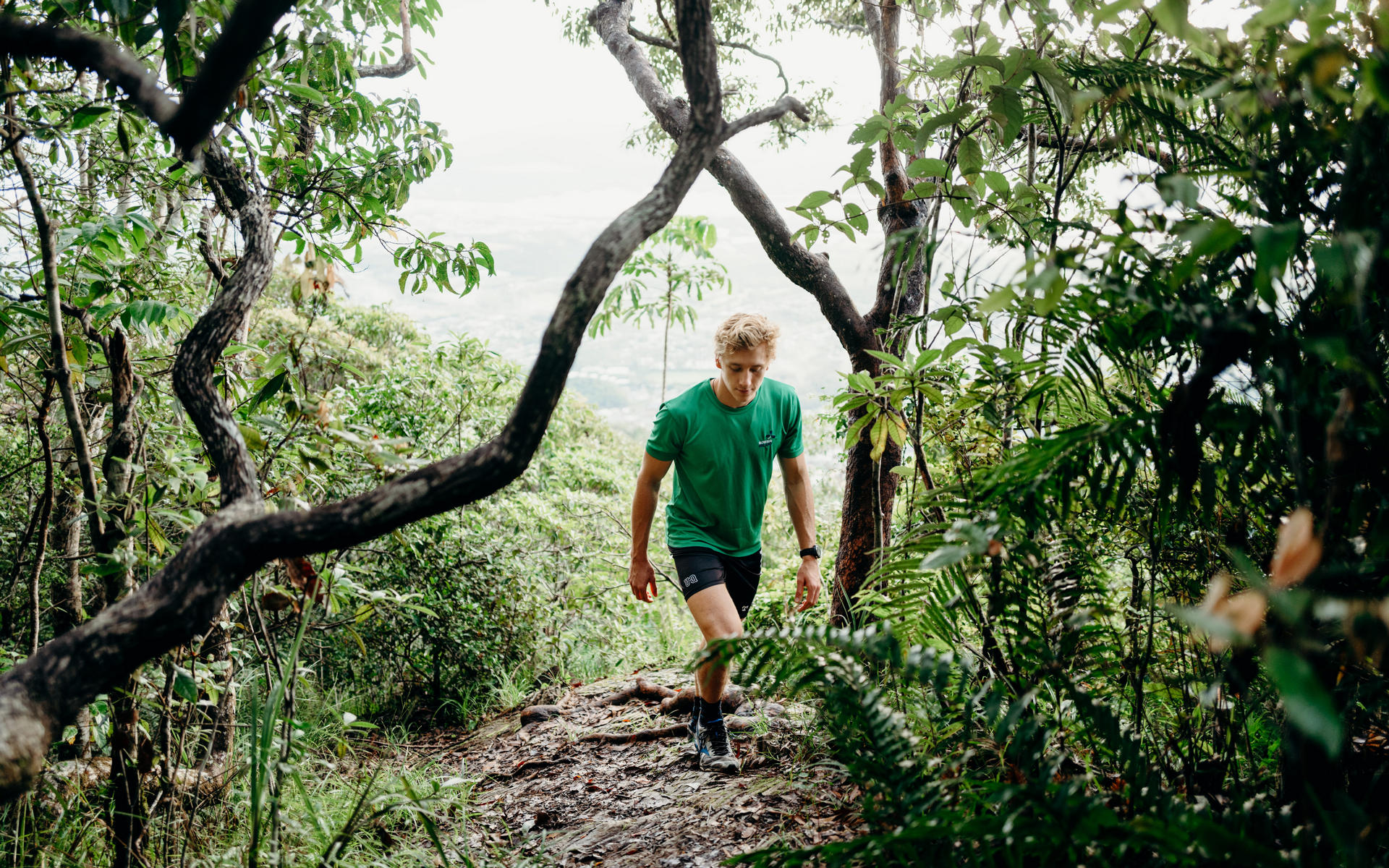 Man bushwalking in Cairns, framed by trees